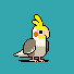 Echo Flapping Echo Flapping
